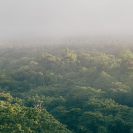 Compra inteligente: &iquest;c&oacute;mo contribuir a la sostenibilidad con productos de segunda mano?