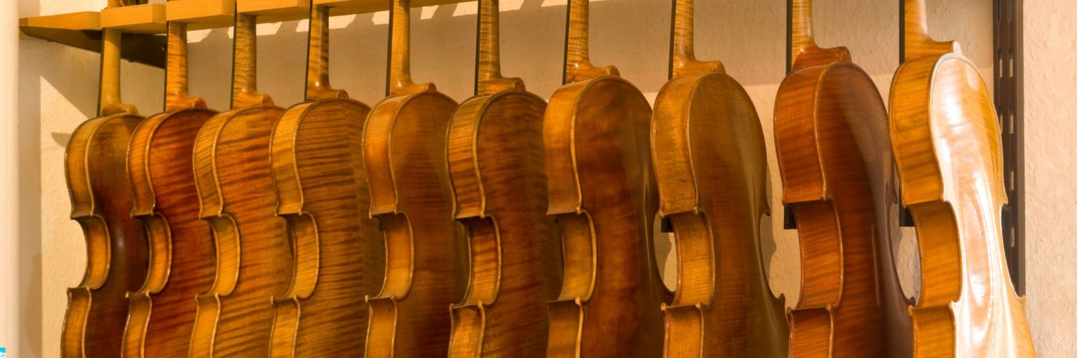 tipos de violín