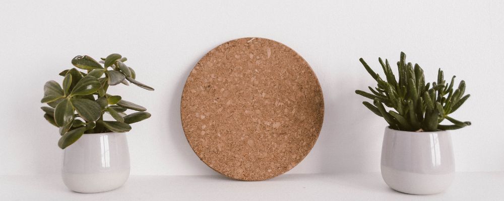 beneficios del humidificador