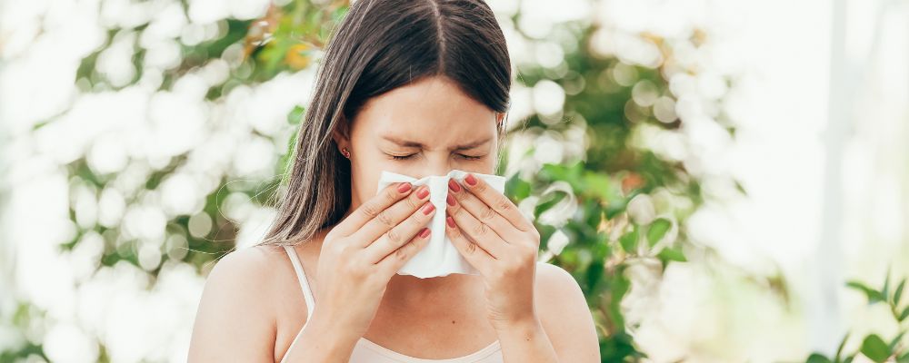 beneficios del humidificador