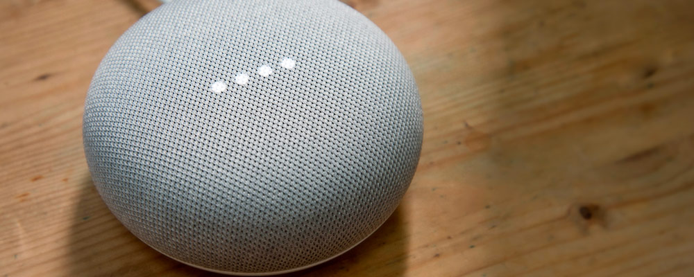 google home mi amazon echo