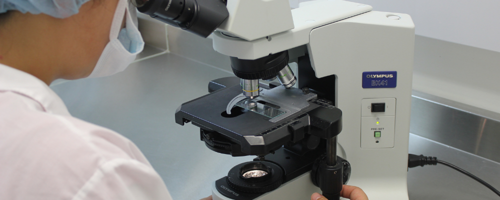 funcionamiento de un microscopio