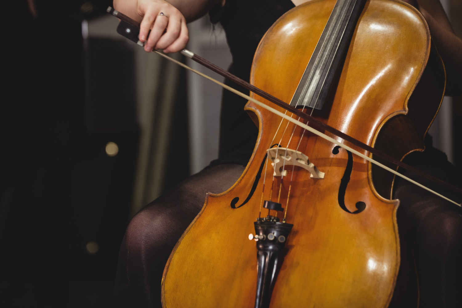 diferencias entre violonchelo y contrabajo