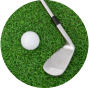 Vender Palo de Golf