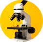 Vender microscopios 