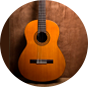 Vender guitarra 