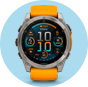 Vender smartwatch Garmin 